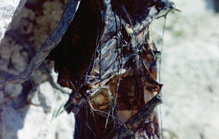 1994 - FORME - dim.20x15x35cm